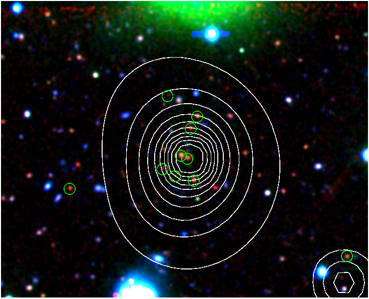 the z=1.05 cluster