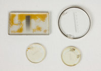 Contenuto della scatoletta