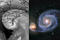 Thumbnail image. Click to load APOD for this date