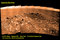 Thumbnail image. Click to load APOD for this date