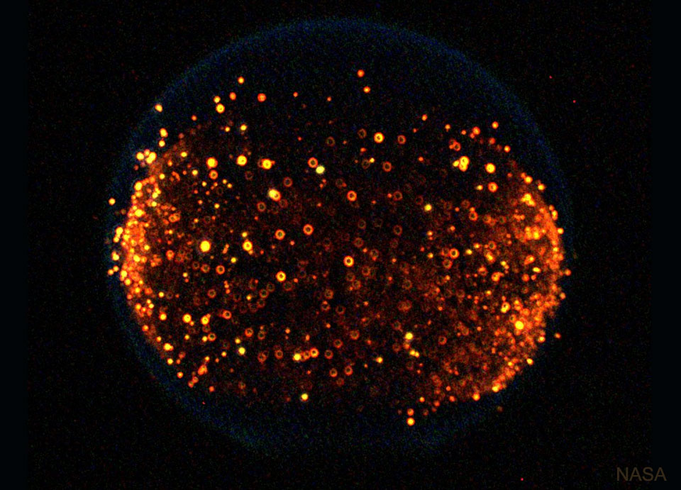 The picture shows a glowing soot in a spherical flame in the
microgravity of space. 
Please see the explanation for more detailed information.