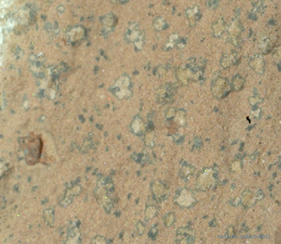 Part of a large rock on Mars is shown being mostly
orange. On the rock are several irregular light-colored areas
surrounded by a dark border. The spots are only millimeters
across but might be a remnant biosignature of ancient 
Martian life.
Please see the explanation for more detailed information.