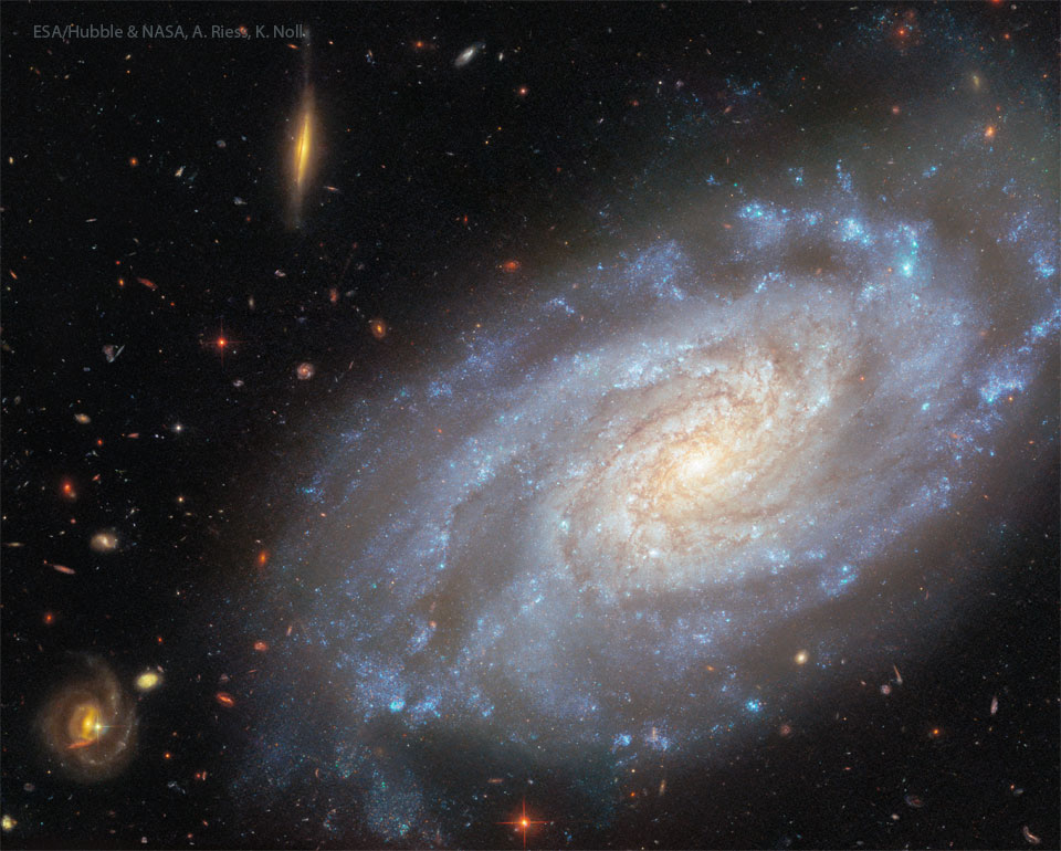 A spiral galaxy covers the right part of the image.
Brown dust and blue stars trace the spiral arms. On the 
left part of the image are several more red galaxies far
in the distance. 
Please see the explanation for more detailed information.