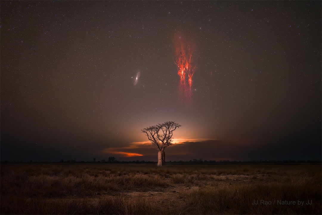 A dark landscape is back lit by a thunderstorm in the 
distance. A lone tree is visible near the center. Above the
tree are two sky icons: the Andromeda Galaxy on the left 
and bright red sprites on the right. 
Please see the explanation for more detailed information.