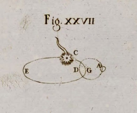 Comet of 1664 - 1665