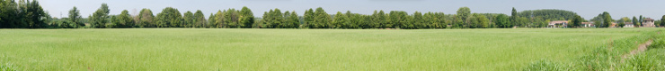 Un campo coltivato nei pressi di Ricengo